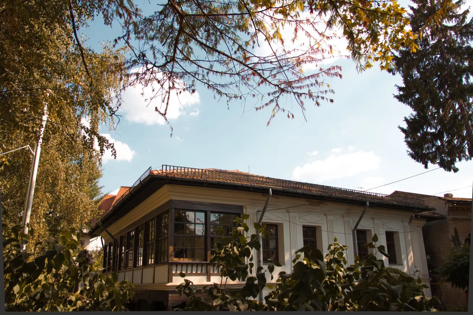 Casa 2 dormitórios para locação em Raimundo Pereira de Magalhães, São Paulo — Quintal