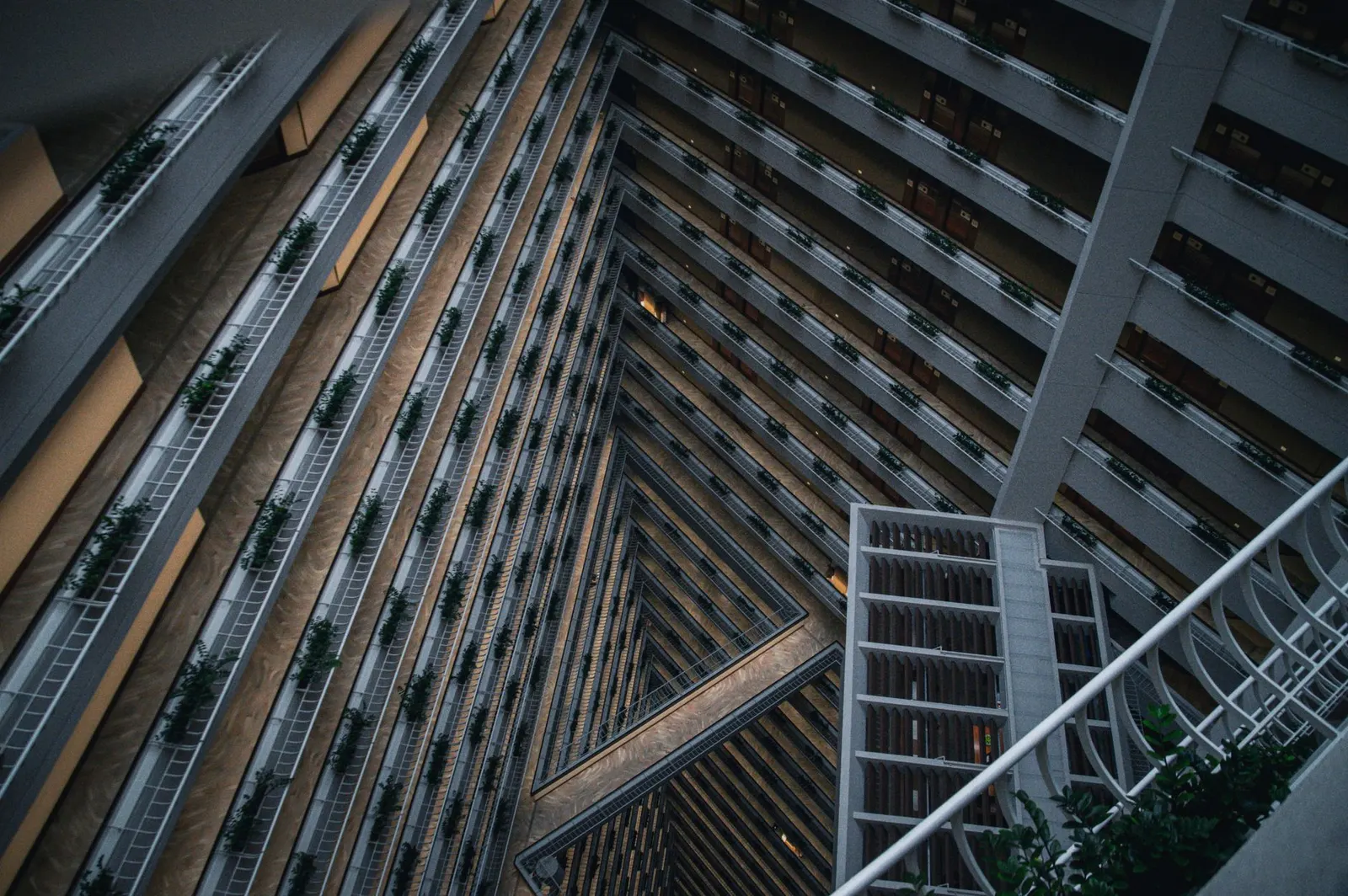 Raízes — Hall de entrada