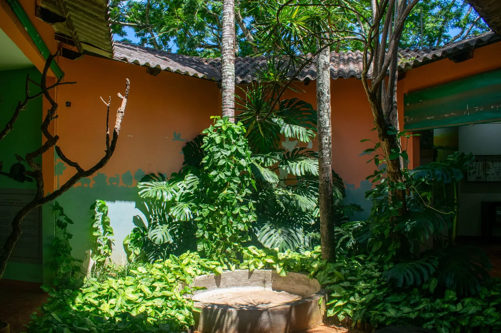 Casa 4 dormitórios para locação em Vila Santa Maria, São Paulo — Jardim