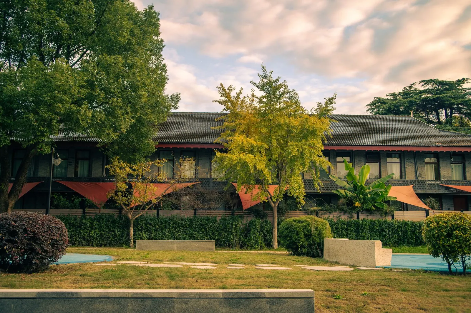 Casa 2 dormitórios para locação em Jardim Rubi, São Paulo — Quintal
