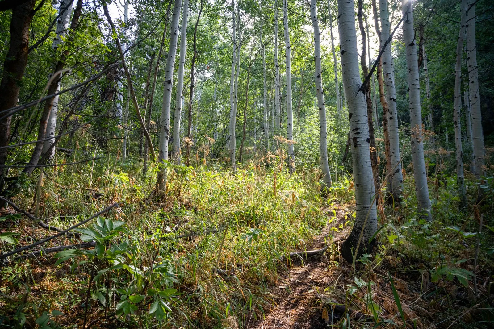 Terreno à venda em Ilha Verde ou Anhanguera, São Paulo — Terreno