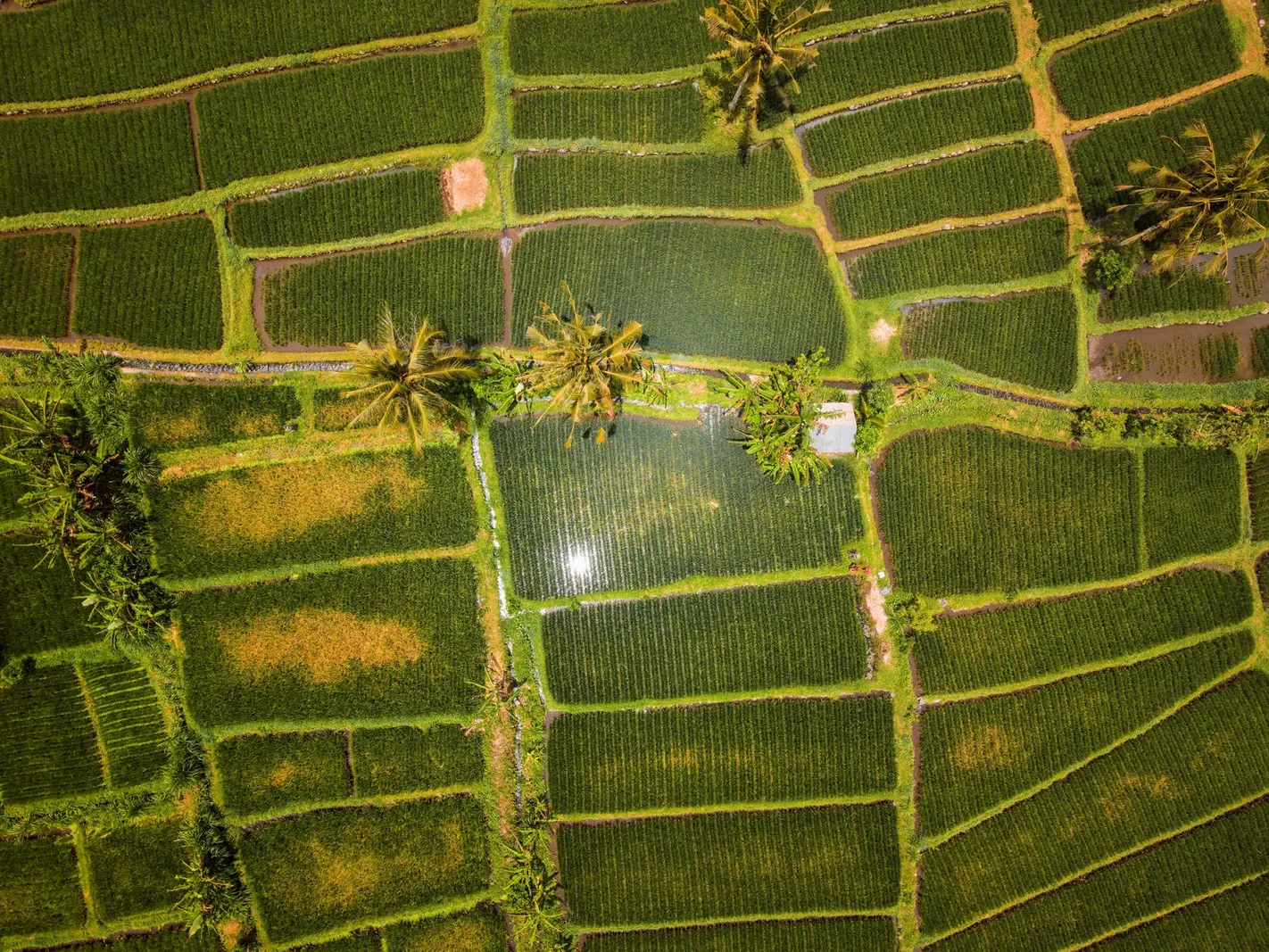 Terreno à venda em Ilha Verde ou Anhanguera, São Paulo — Vista aérea