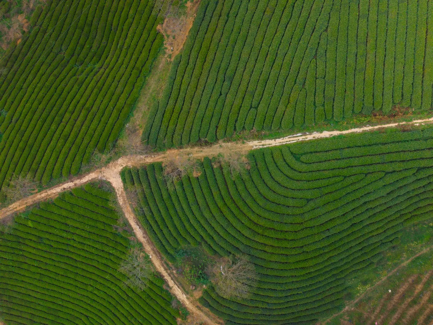 Terreno à venda em Ilha Verde ou Anhanguera, São Paulo — Terreno