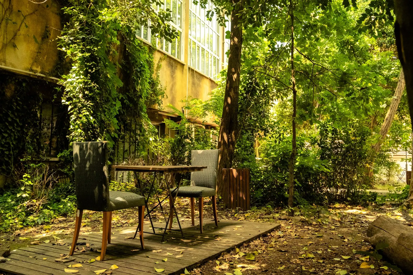 Galpão à venda em Jardim Pedreira, São Paulo — Pátio