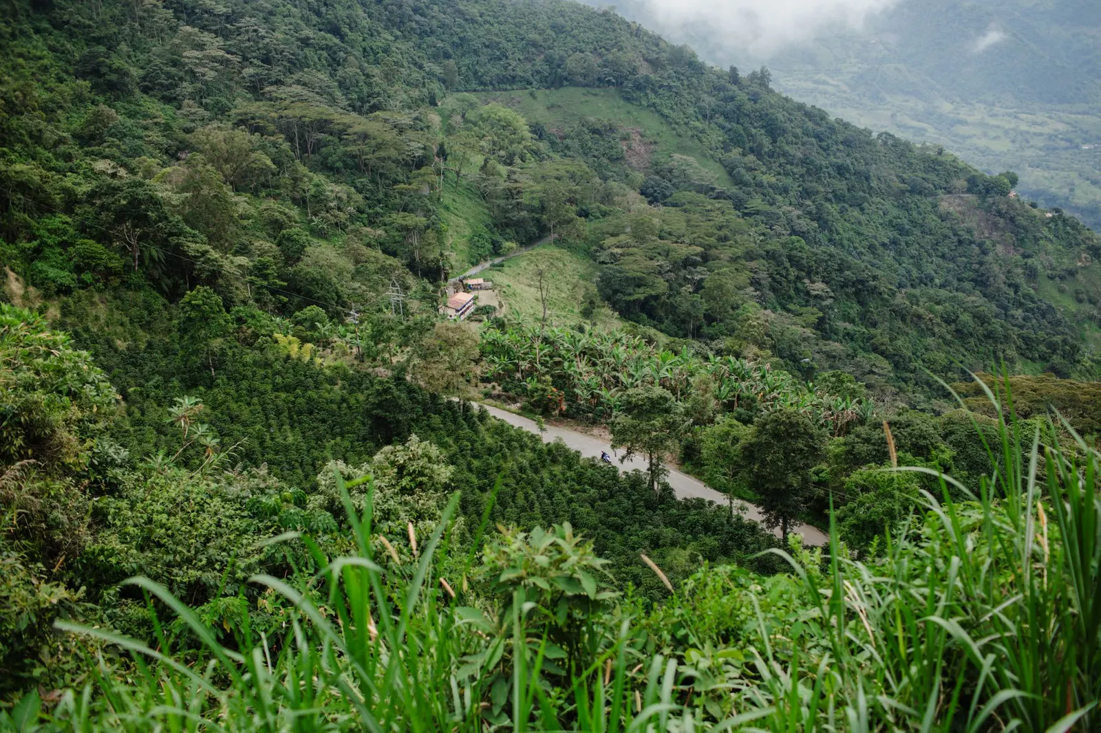 Terreno à venda em Jardim Maria Teresinha, São Paulo — Área rural