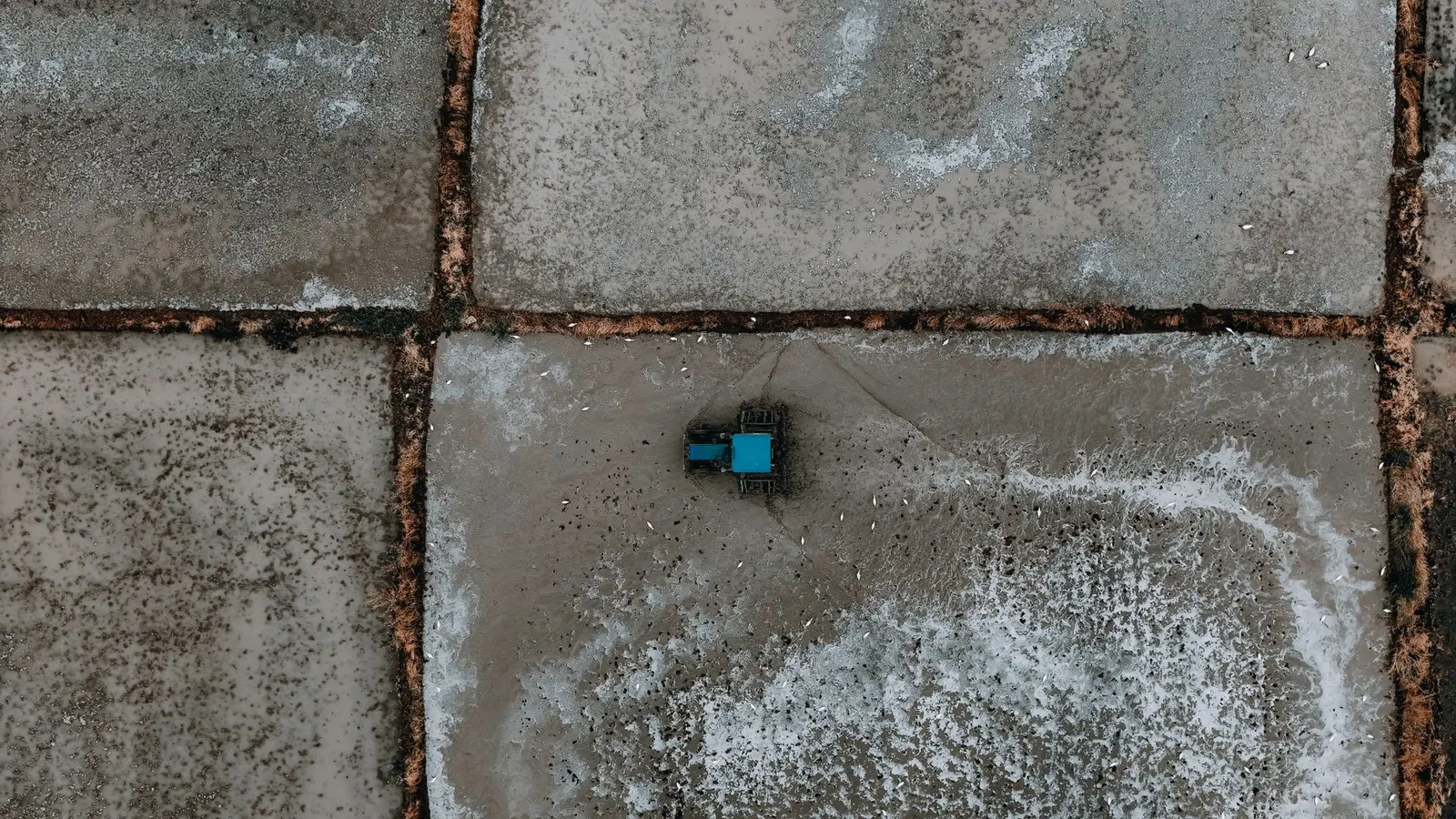 Terreno à venda em Jardim Maria Teresinha, São Paulo — Vista aérea