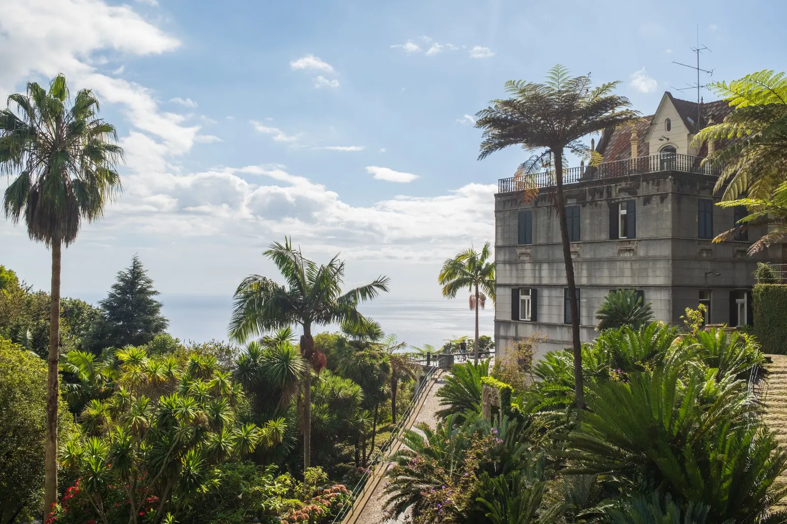 Casa 3 dormitórios para locação em Parque Figueira Grande III, São Paulo — Jardim