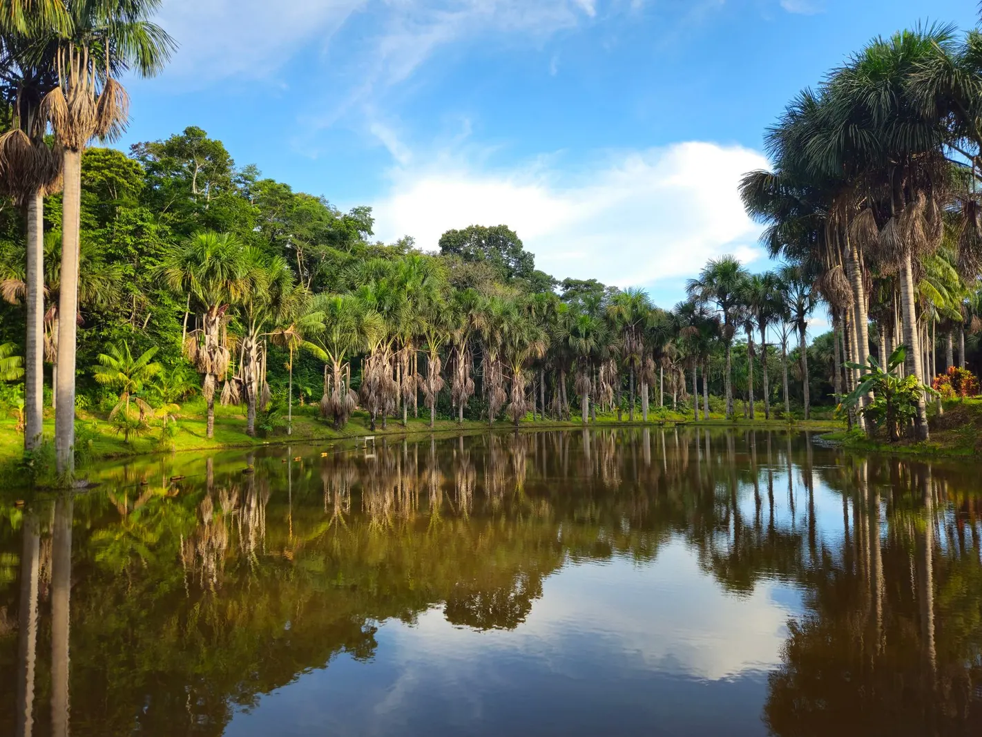Terreno à venda em Jardim Mazza II, São Paulo — Área rural