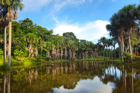 Terreno à venda em Jardim Mazza II, São Paulo — foto 5