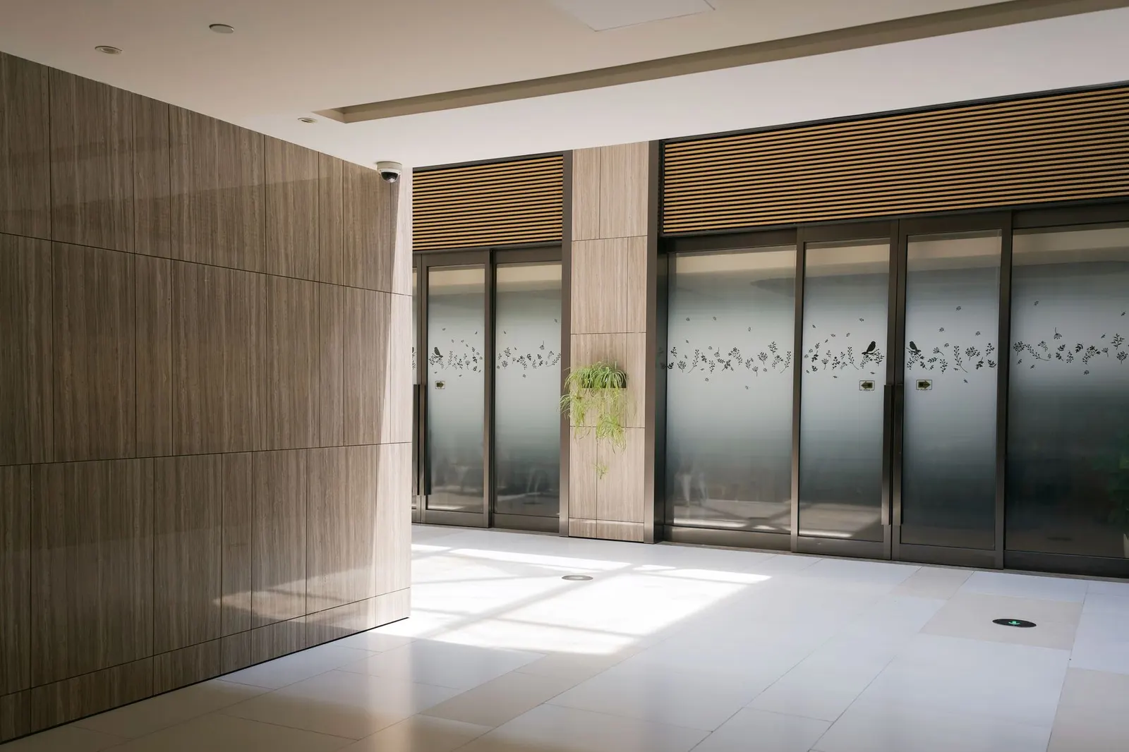 Studio para locação em Álvaro Ferreira, São Paulo — Hall de entrada