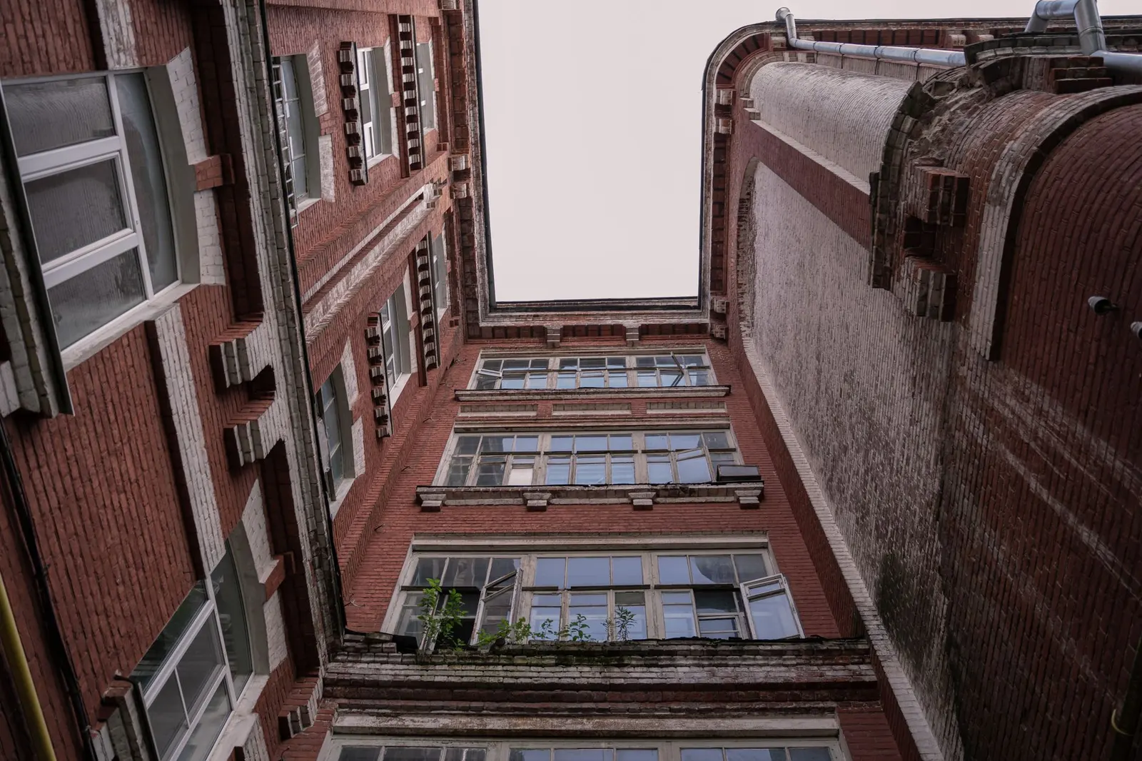 Apartamento 3 dormitórios à venda em Vila Cenice, São Paulo — Vista