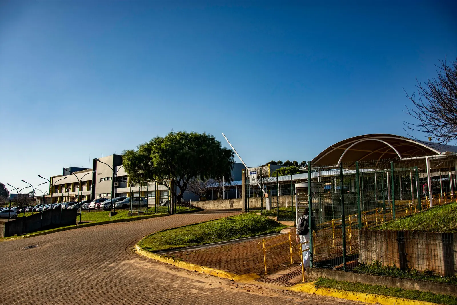 Bosque Urbano — Academia