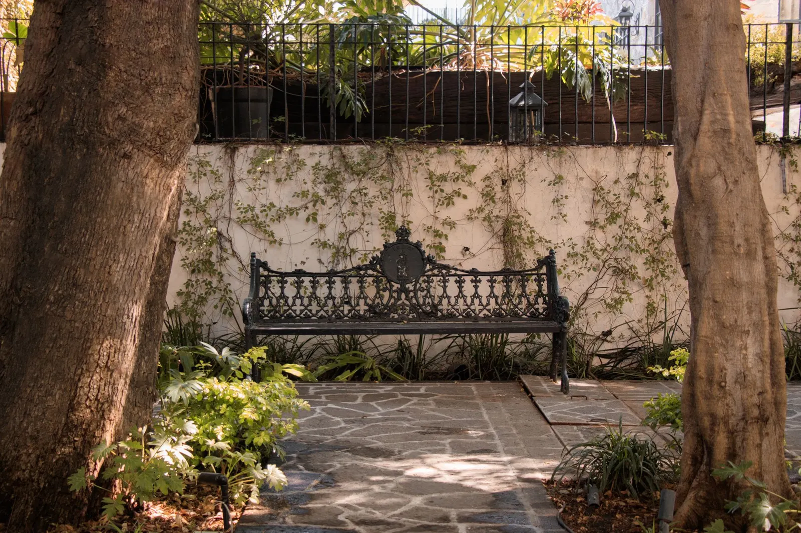 Casa 3 dormitórios à venda em Jardim Dona Sinhá, São Paulo — Jardim