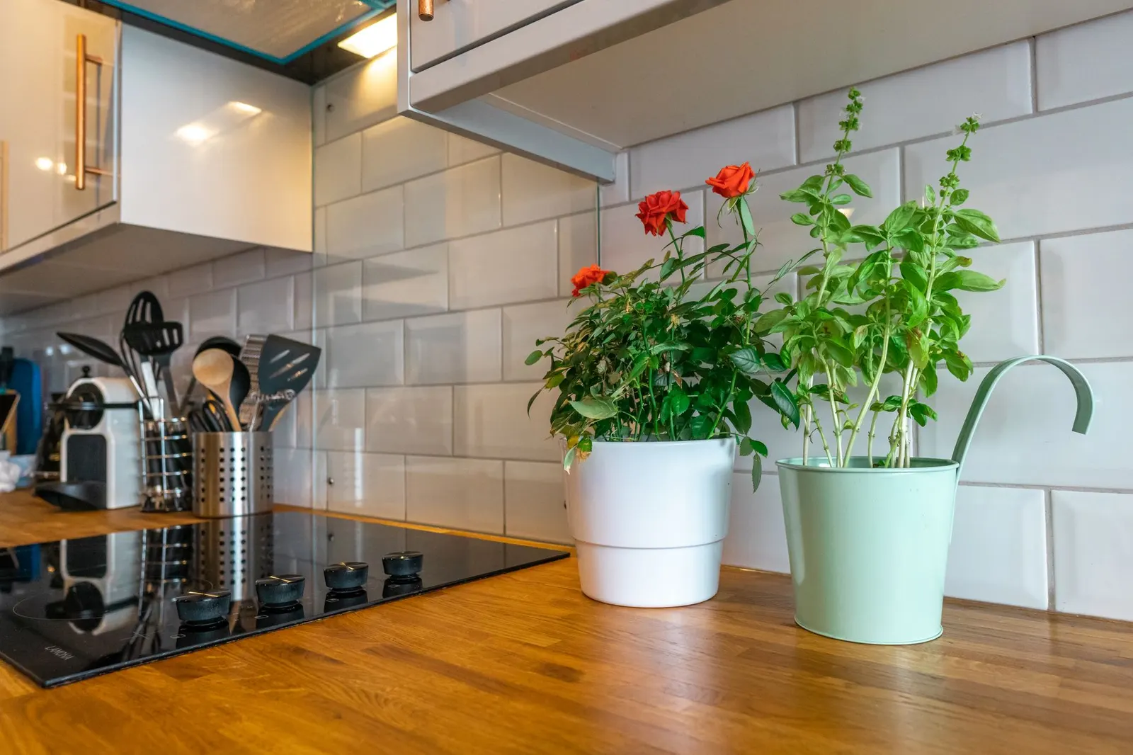 Apartamento 2 dormitórios para locação em São Mateus, São Paulo — Cozinha