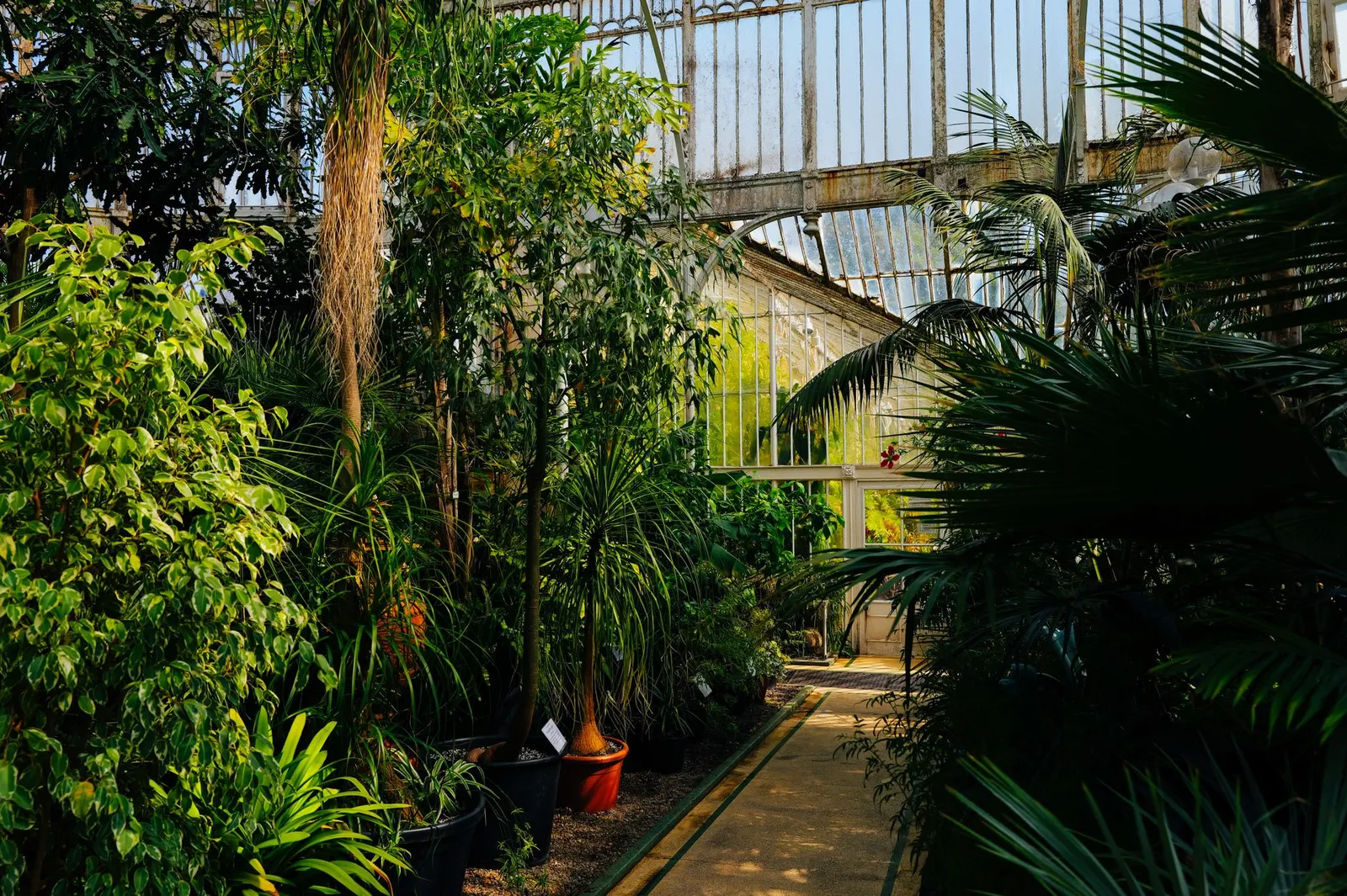 Casa 2 dormitórios à venda em Pangaua, São Paulo — Jardim
