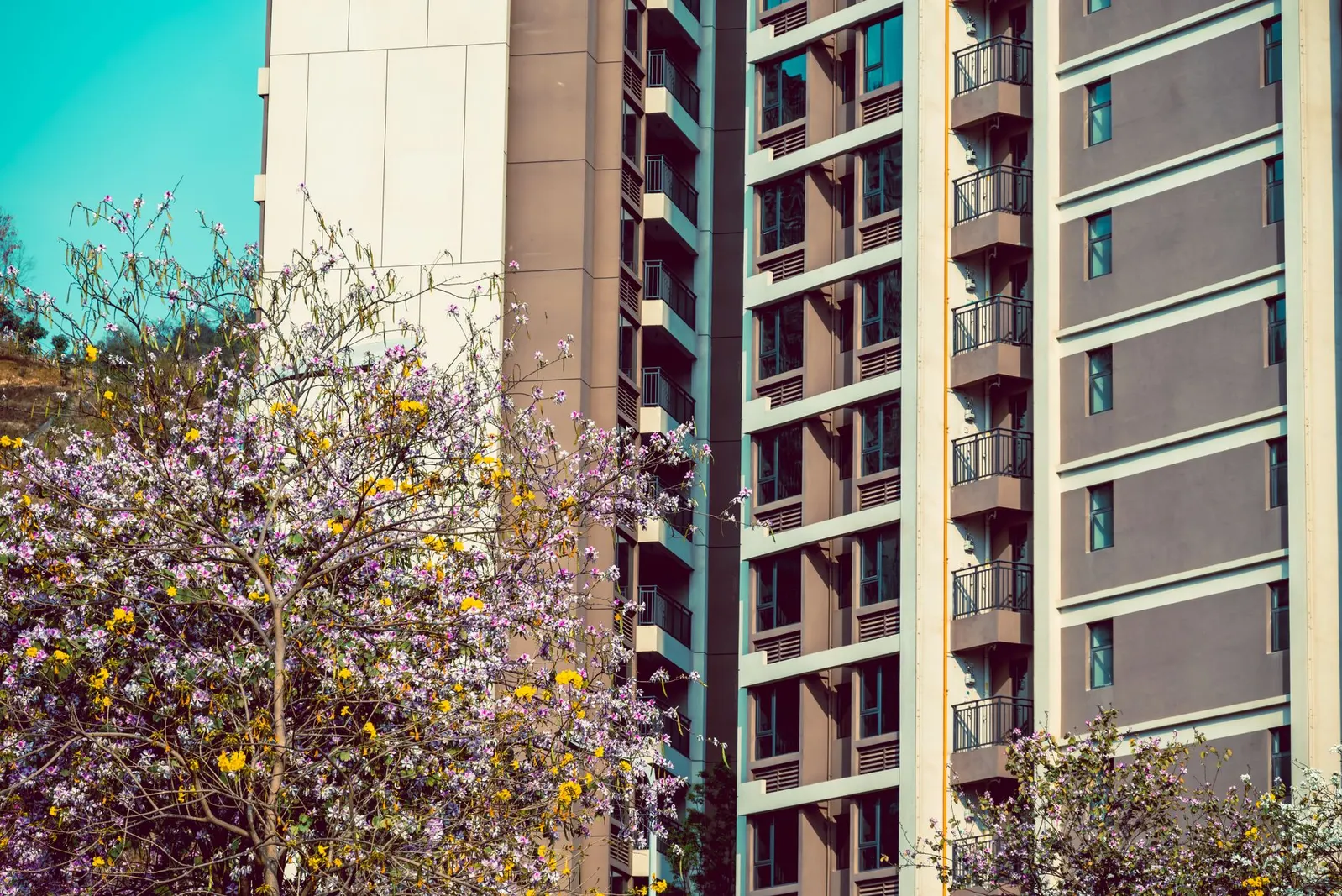 Apartamento 2 dormitórios à venda em Parque Maria Alice, São Paulo — Fachada