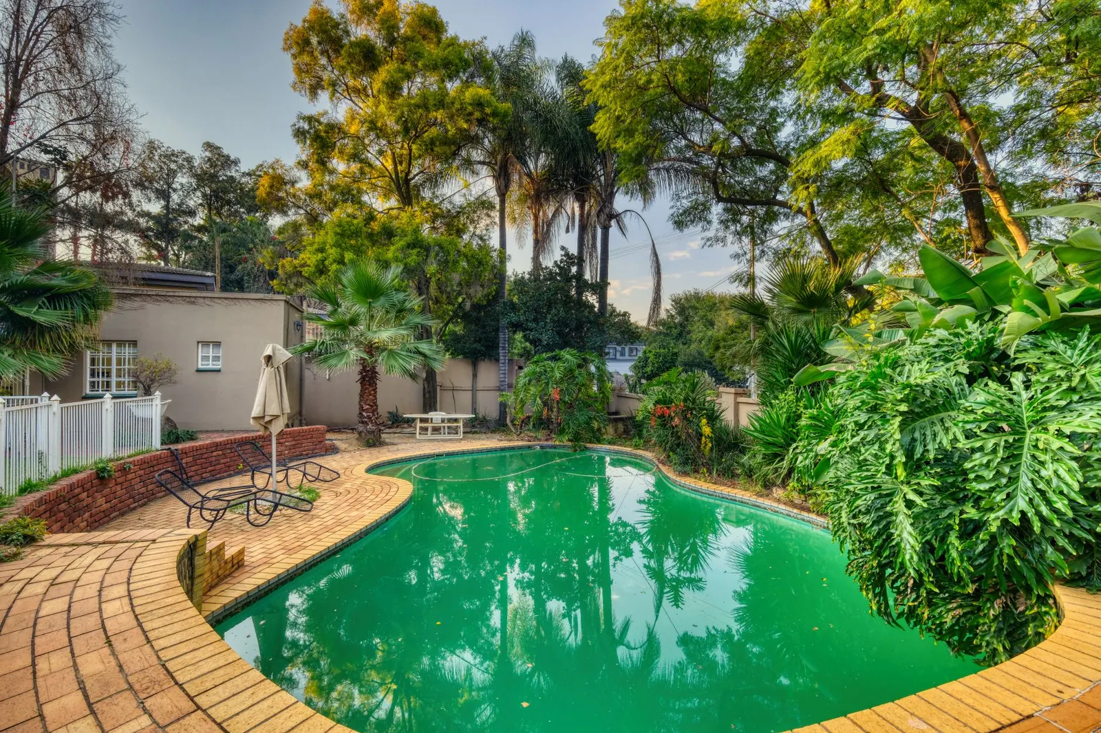 Casa 1 dormitório para locação em Parque Maria Alice, São Paulo — Piscina