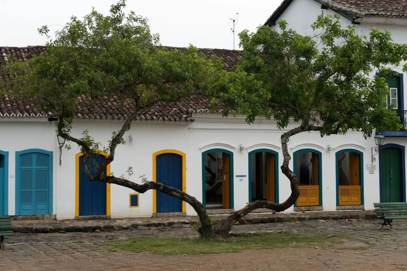 Casa 4 dormitórios à venda e para locação em Parque Figueira Grande III, São Paulo — Quintal